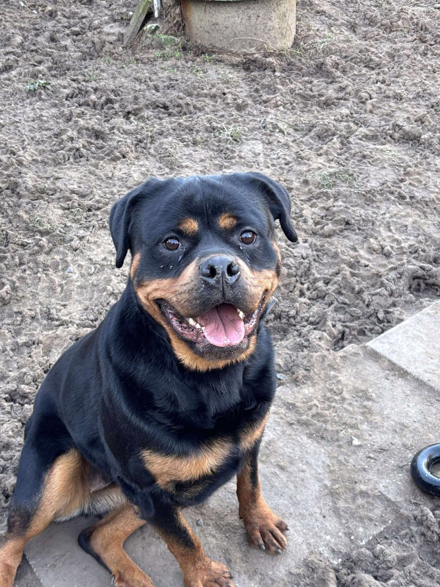 Bella